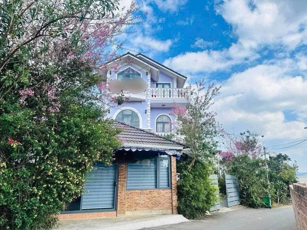 Bán villa 300m2 Đường Nguyên Tử Lực Đà Lạt - Ảnh 1