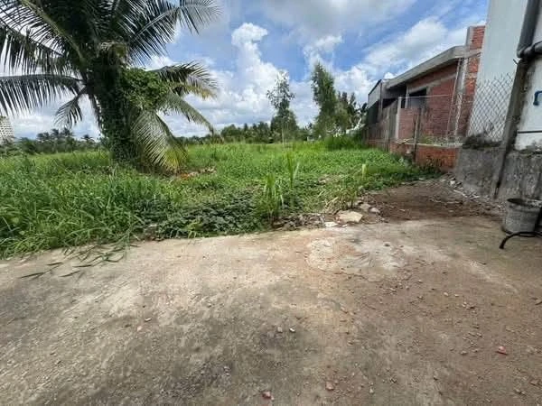 Bán nền đất Phú Tân 153m² nở hậu, 450 triệu - Ảnh thu nhỏ 4