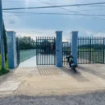 Nhà cấp 4 bán 2 phòng ngủ 50m² Tây Ninh 1 tỷ 450 triệu - Ảnh thu nhỏ 2