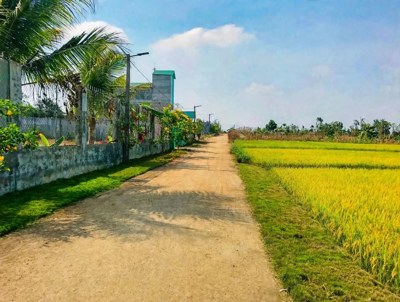 Bán đất nền 1000m² view cánh đồng tại Cư M'gar 699 triệu