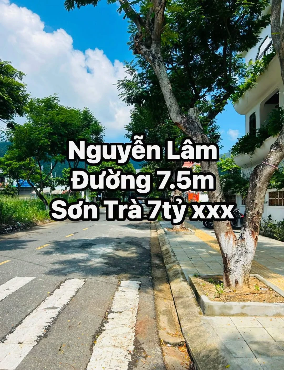 Bán đất 100m2 đường 7.5m Sơn Trà Đà Nẵng 7 tỷ - Ảnh 1