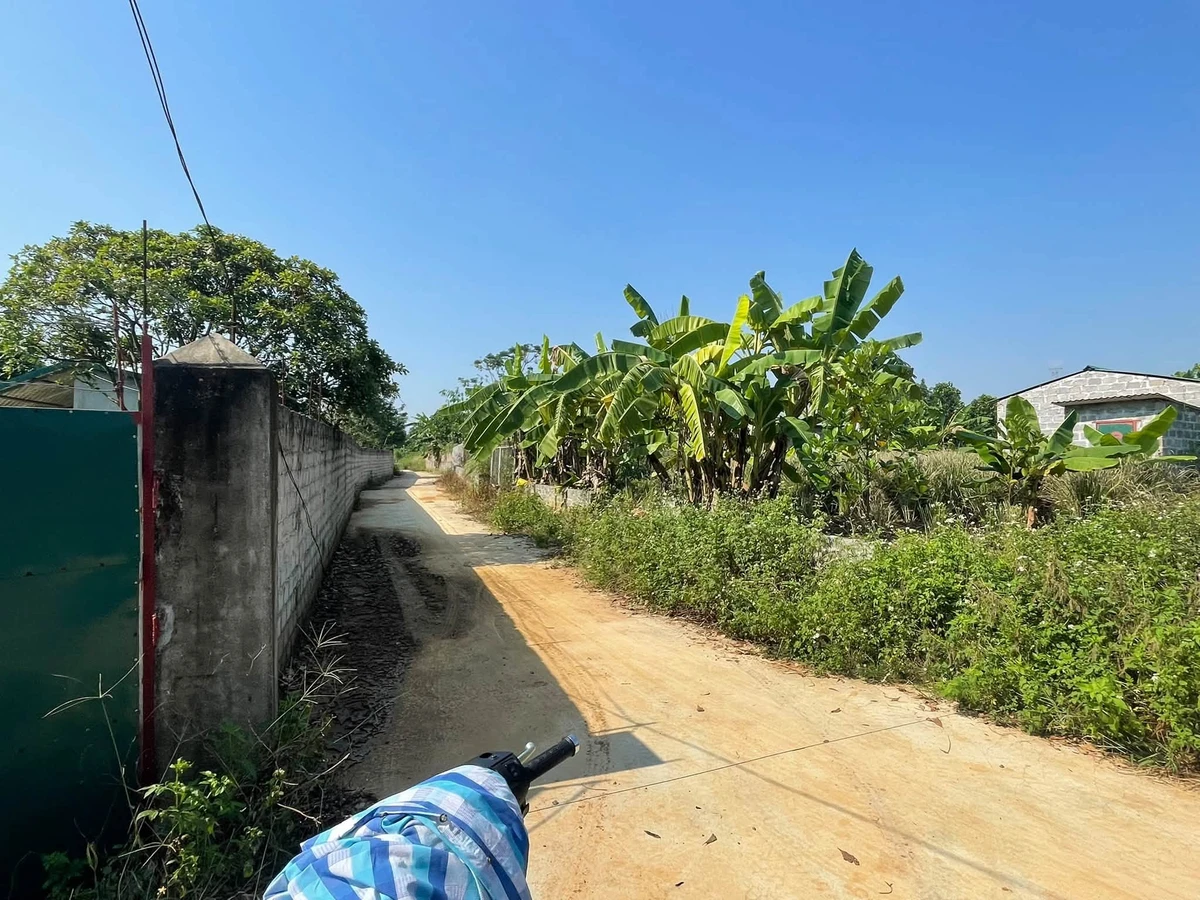 Bán đất chuyển đổi trang trại 3000m² Bạch Thạch Hà Nội - Ảnh 1