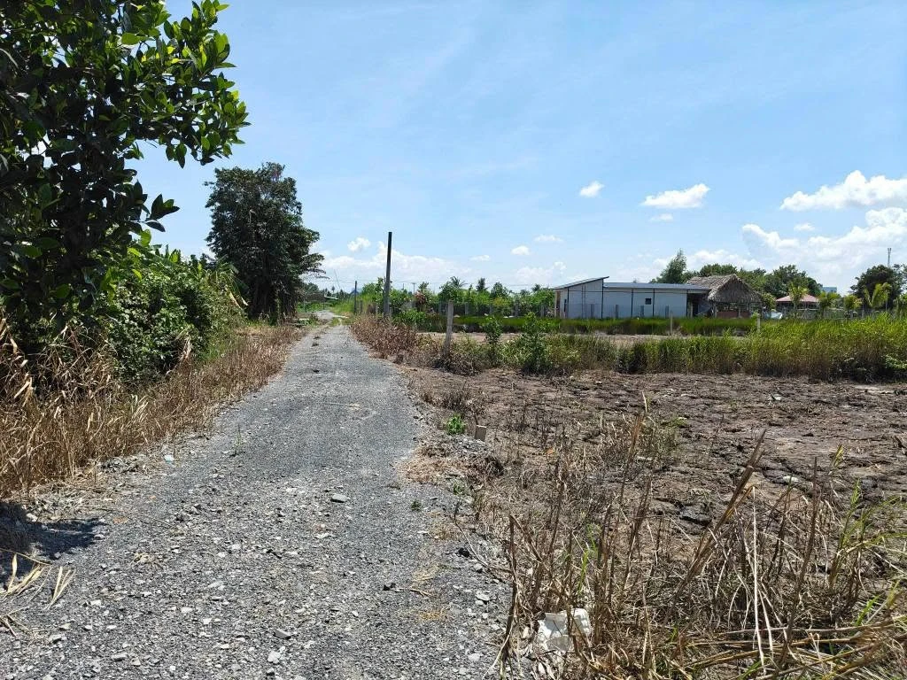 Bán đất vườn 3000m² Thạnh Hoà Bến Lức Long An 2 tỷ 550 - Ảnh thu nhỏ 2