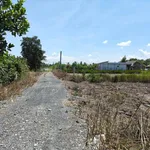 Bán đất vườn 3000m² Thạnh Hoà Bến Lức Long An 2 tỷ 550 - Ảnh thu nhỏ 2