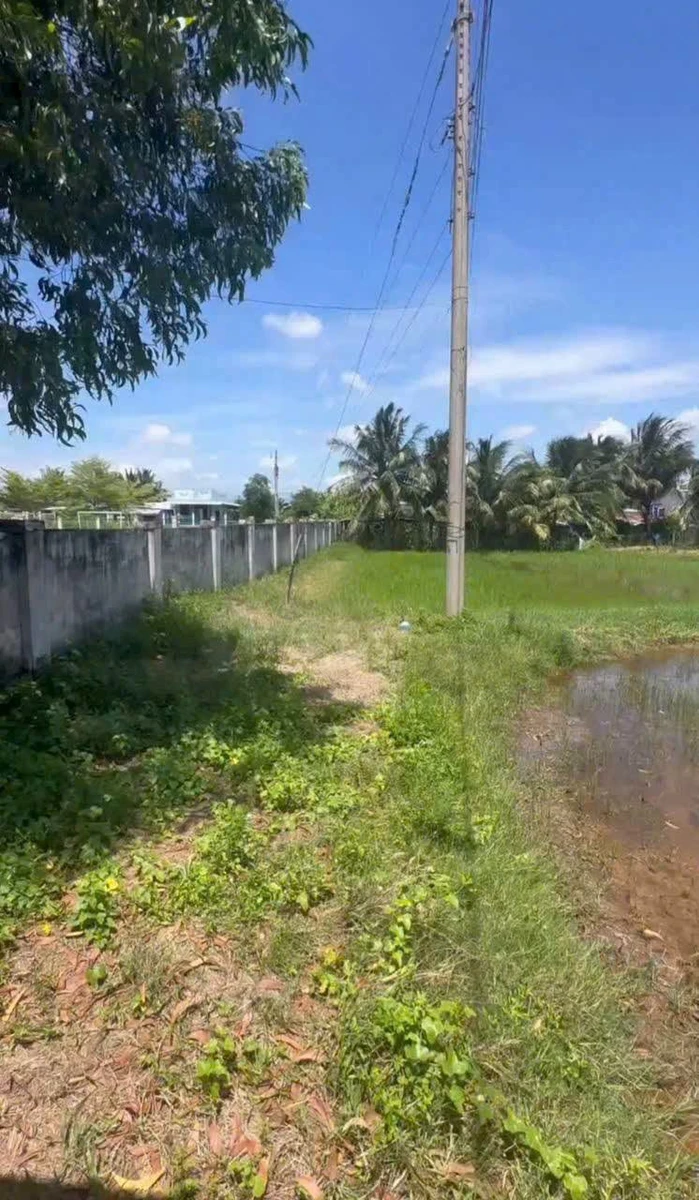 Bán đất 500m² xã Hồng Sơn, Lâm Đồng - Ảnh thu nhỏ 2