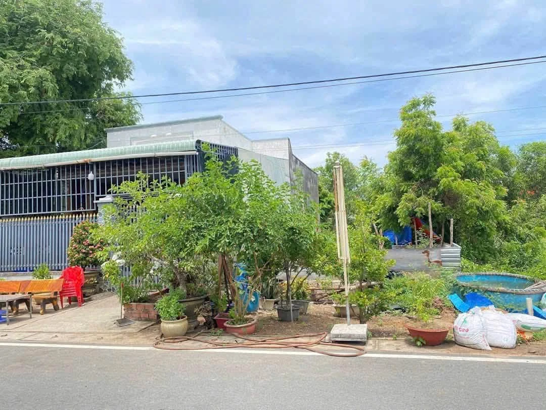 Bán lô đất nghỉ dưỡng 140m² gần bãi tắm Lộc An - Ảnh thu nhỏ 3