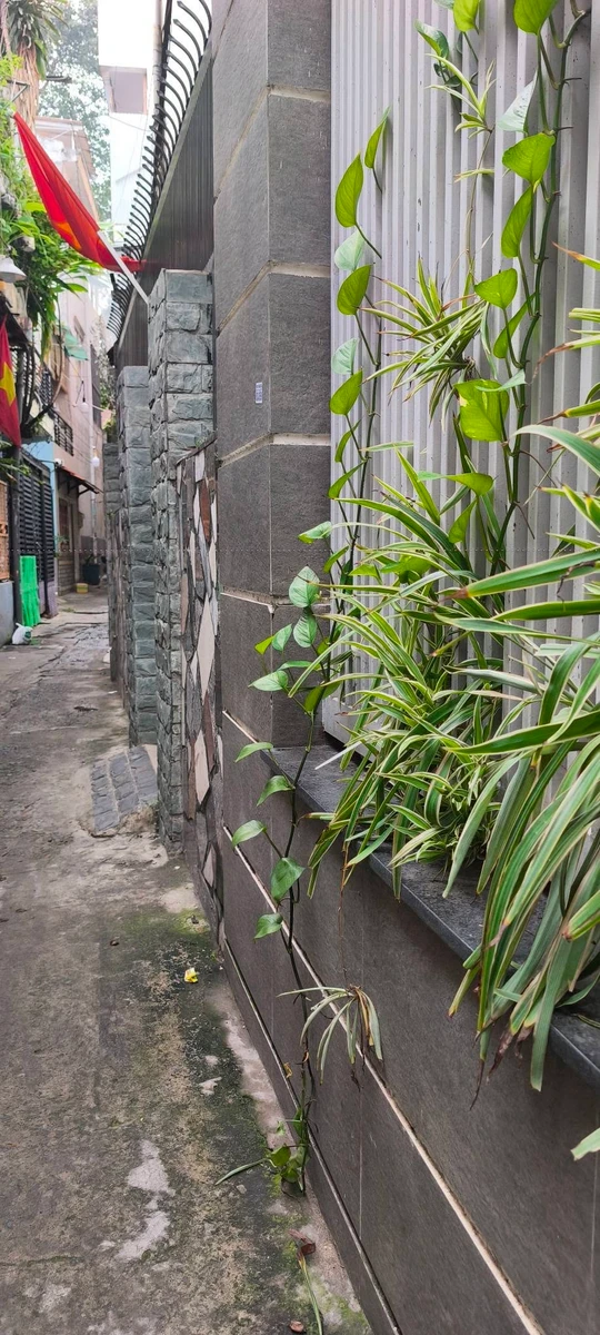 Bán nhà 56m2 ngang 6m gần ĐH Sư Phạm, Nguyễn Trãi, Quận 5, giá nhỉnh 7 tỷ - Ảnh thu nhỏ 3