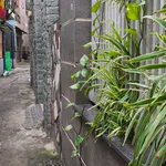 Bán nhà 56m2 ngang 6m gần ĐH Sư Phạm, Nguyễn Trãi, Quận 5, giá nhỉnh 7 tỷ - Ảnh thu nhỏ 3