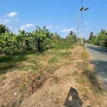 Bán đất tại xã Phú Quới, huyện Long Hồ, Vĩnh Long, giá siêu hời 3,9 tỷ, 1169,2 m2 - Ảnh thu nhỏ 11