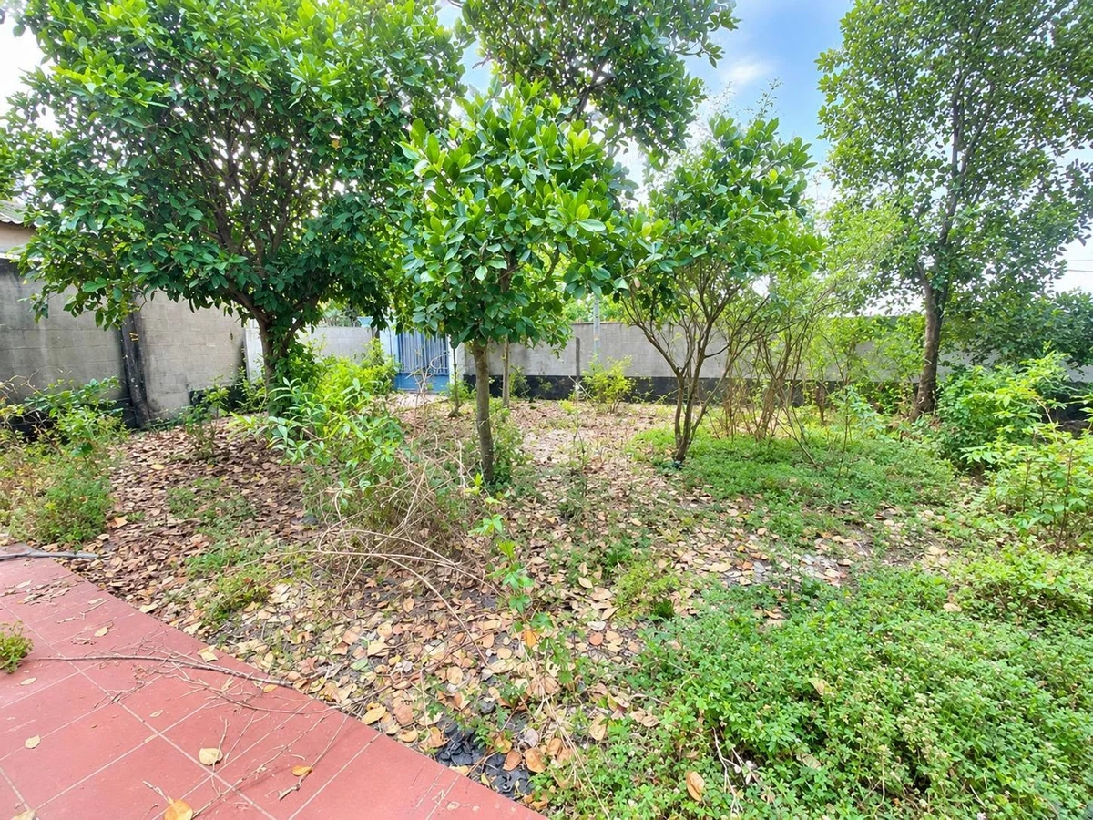 Bán đất thổ cư 1000m2 có nhà cấp 4, mặt tiền đường, view sông tại Cần Đước, Tây Ninh - Ảnh thu nhỏ 2