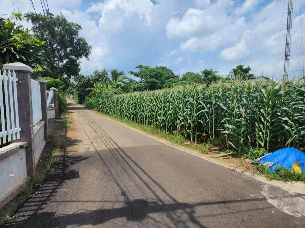 Bán đất hẻm Hùng Vương Ngãi Giao 9000m² 950 triệu - Ảnh 1