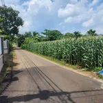 Bán đất hẻm Hùng Vương Ngãi Giao 9000m² 950 triệu - Ảnh thu nhỏ 1