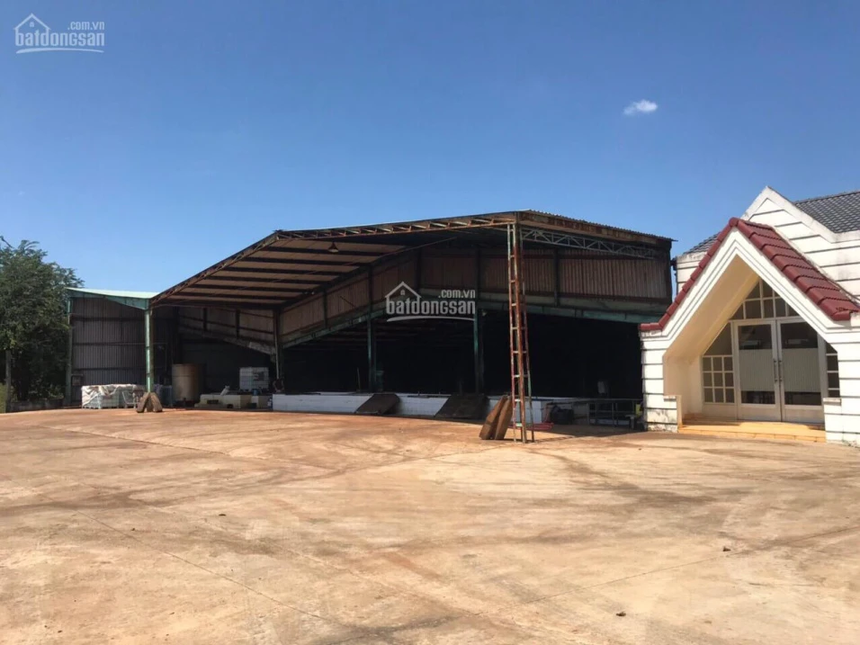 Chính chủ bán nhà máy chế biến mủ cao su Giang Sơn, 20.000m2, đang hoạt động tốt, pháp lý rõ ràng - Ảnh 1