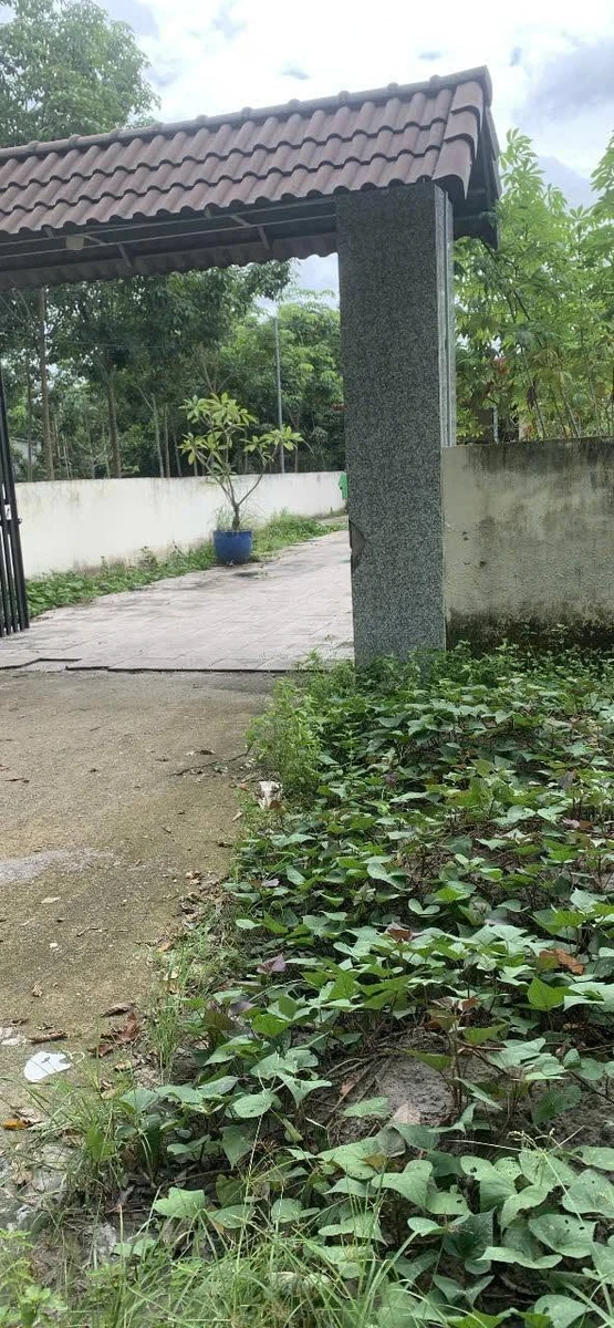 Bán 20 phòng trọ 26m² mặt tiền Bình Phước 2 tỷ 9 - Ảnh thu nhỏ 2