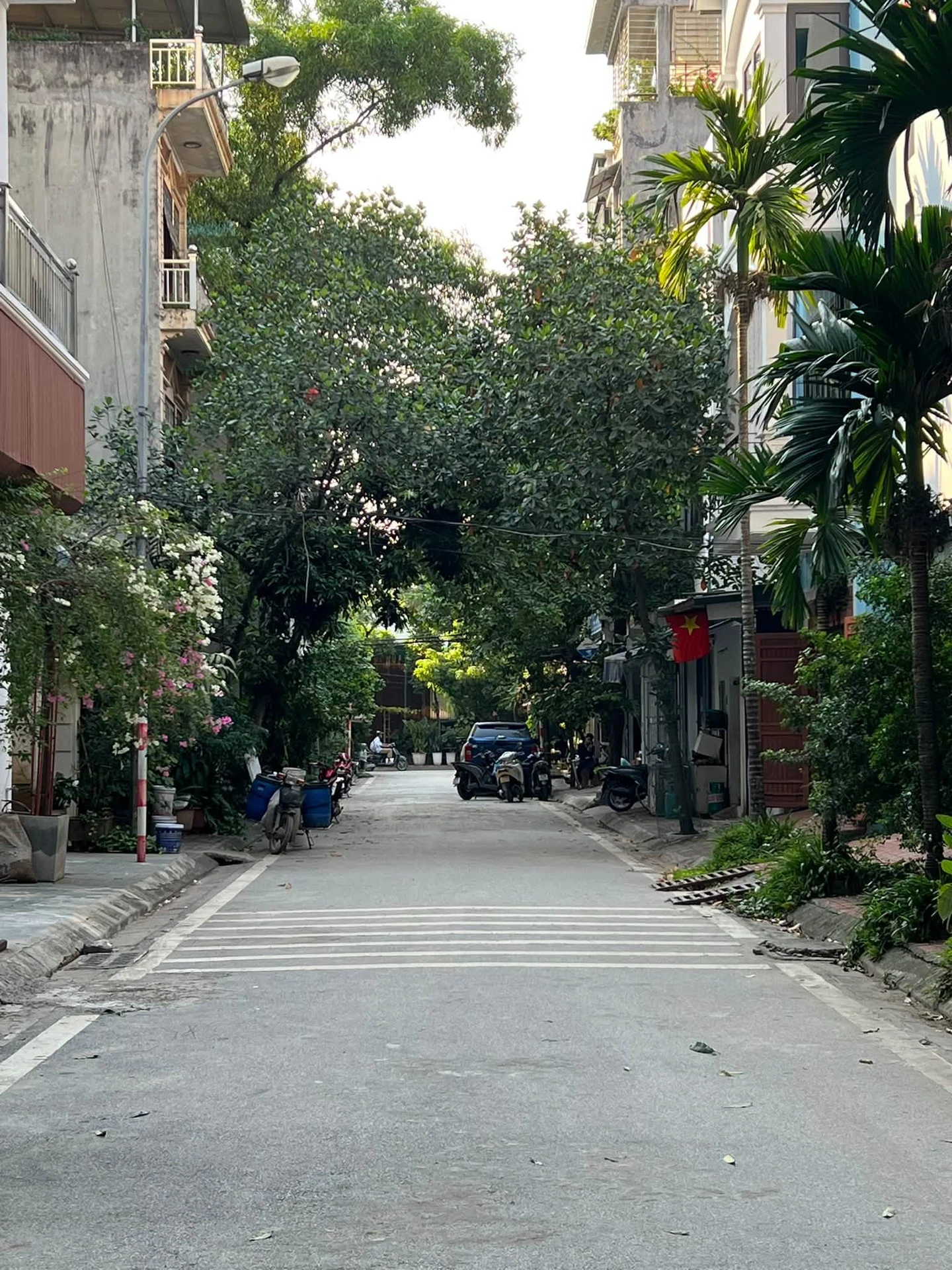 Bán đất Lĩnh Nam - Tam Trinh - 70m2 - 20 tỷ - Ảnh 1