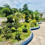 Bán nhà vườn 1800m² An Thái Phú Giáo giá 3 tỷ 5 - Ảnh thu nhỏ 4