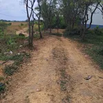 Bán đất 496m2 (7x71) xã Tân Phước, Gò Công Đông, Tiền Giang giá 900 triệu - Ảnh thu nhỏ 2