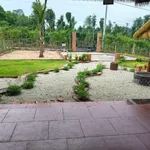 Bán đất vườn 555m² view đẹp Bàu Chính, Châu Đức 900 triệu - Ảnh thu nhỏ 3
