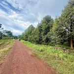 Bán đất vườn sầu riêng 4.600m² view sông Bé, 450 triệu - Ảnh thu nhỏ 2