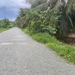 Bán đất vườn dừa 6,8 công Thới Lai 4,1 tỷ - Ảnh thu nhỏ 3