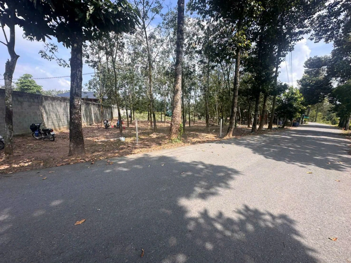Bán đất mặt tiền Tây Ninh 576m² giá 620 triệu - Ảnh thu nhỏ 2