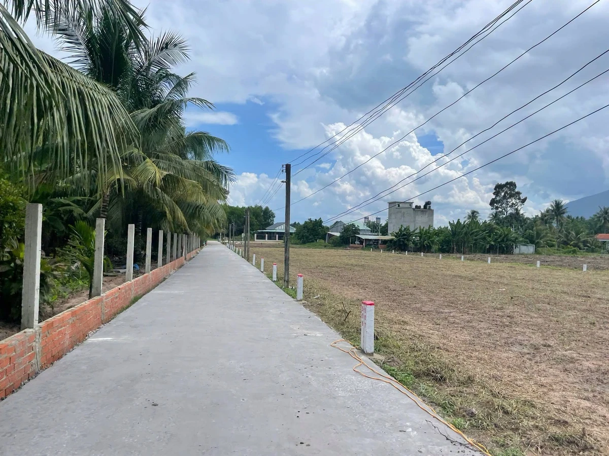 Bán đất thổ cư 50m² đường bê tông Tây Ninh - Ảnh thu nhỏ 3