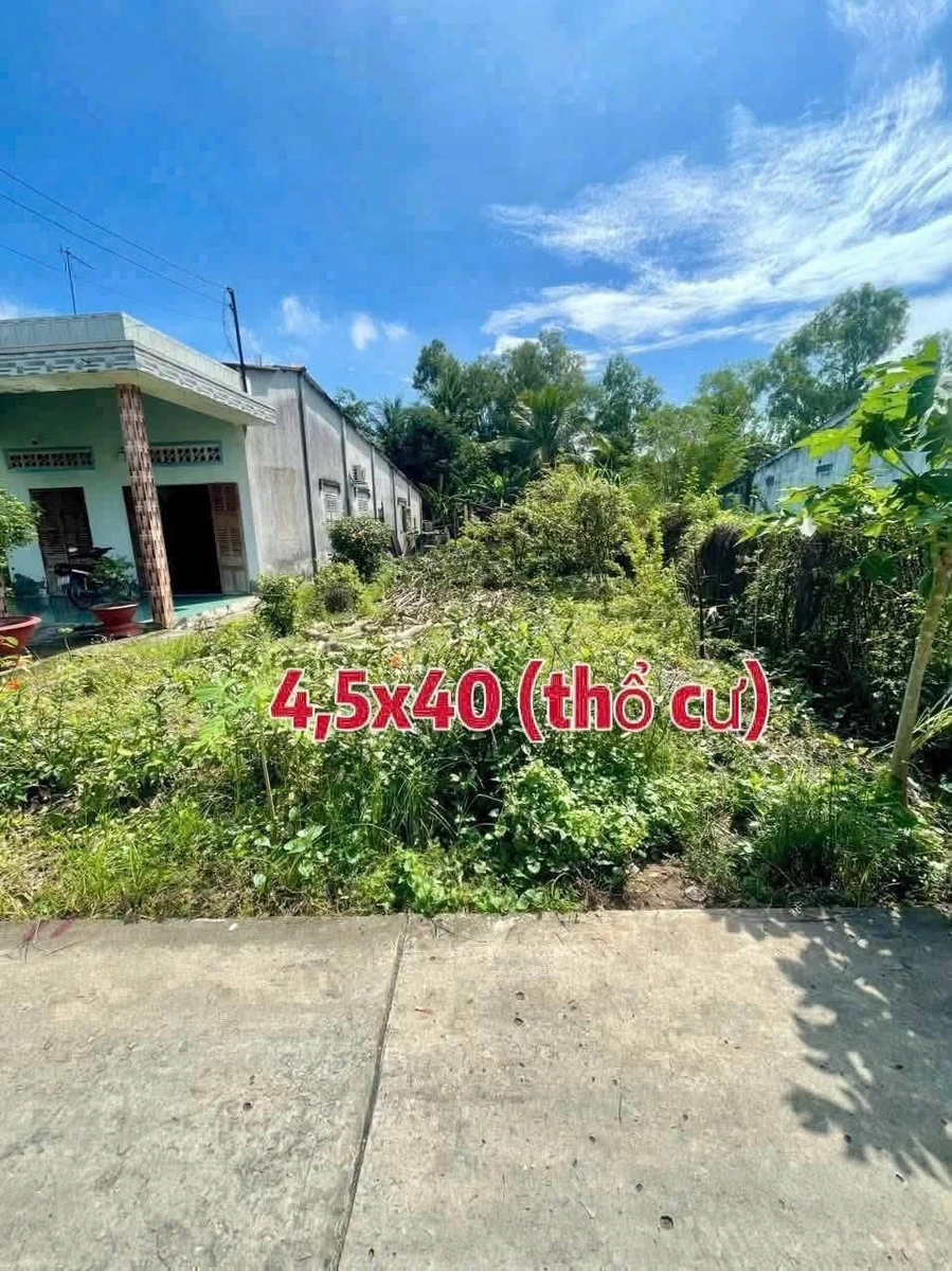 Bán lô đất hẻm 180 m² An Vĩnh Ngãi, Tân An - Ảnh thu nhỏ 2