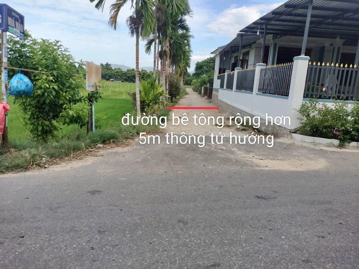 Bán lô đất Diên Lâm 75m2 gần Cầu Phú Cốc - Ảnh thu nhỏ 3