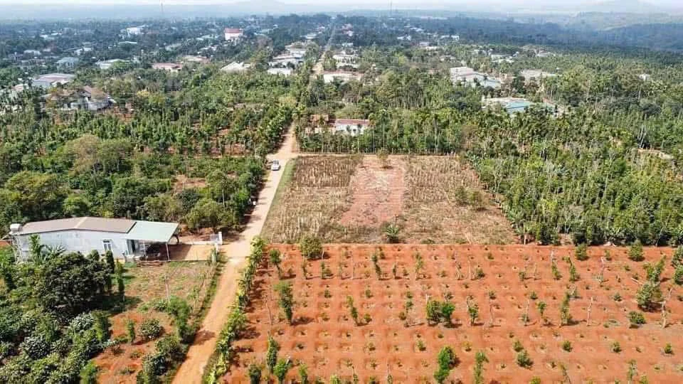 Bán lô đất 5x35m đường 8KC Hoà Thuận, Phường Tân An, Buôn Ma Thuột giá 950 triệu - Ảnh thu nhỏ 3