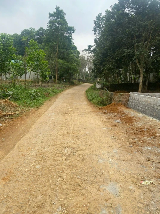 Bán đất tại xã Thạch Lập, 470 triệu, 333 m2, mặt tiền 8m, ngõ 9m - Ảnh thu nhỏ 2