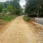 Bán đất tại xã Thạch Lập, 470 triệu, 333 m2, mặt tiền 8m, ngõ 9m - Ảnh thu nhỏ 2