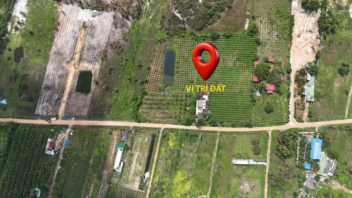Diện tích lớn 1.4ha, có 500m2 thổ cư, đường ô tô, SHR, tại La Gi, thích hợp làm Homestay, phân lô - Ảnh 1