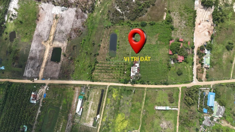 Diện tích lớn 1.4ha, có 500m2 thổ cư, đường ô tô, SHR, tại La Gi, thích hợp làm Homestay, phân lô