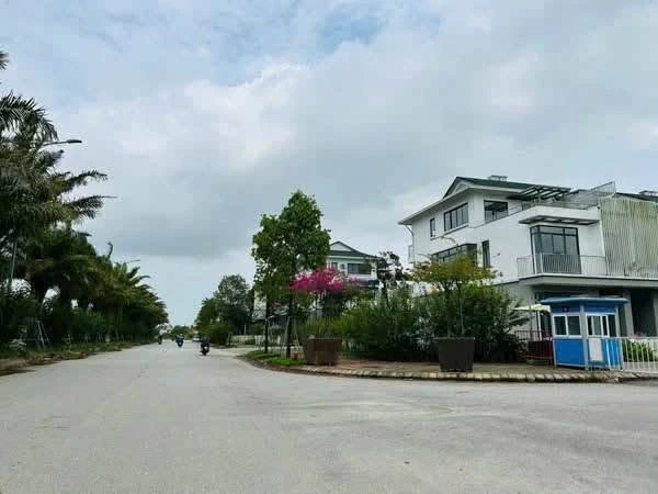 Đất mặt tiền Nguyễn Viết Song Huế 100.5m² 2.5 tỷ - Ảnh 1