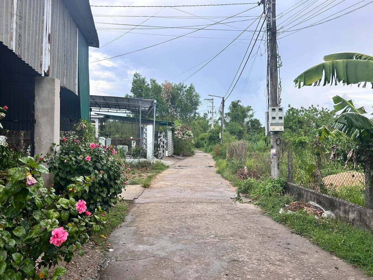 Bán lô đất hẻm Hoàng Văn Thụ 75m2 590 triệu - Ảnh thu nhỏ 2