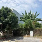 Bán đất mặt tiền Nguyễn Thái Học 95m2, phường Long Toàn, TP Bà Rịa - Ảnh thu nhỏ 2