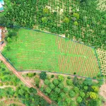 Bán đất 5000m2 có nhà 2PN tại Trường Xuân 1.5 tỷ - Ảnh thu nhỏ 1