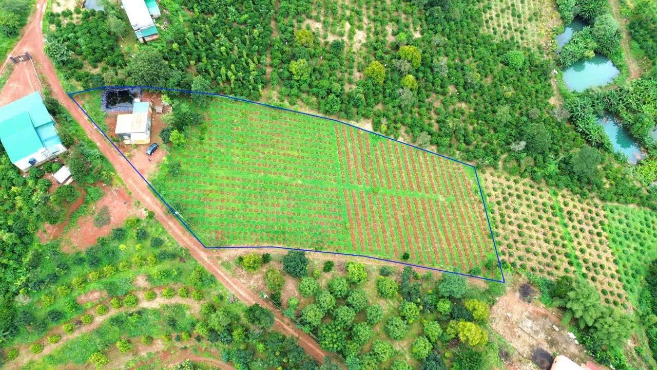 Bán đất 5000m2 có nhà 2PN tại Trường Xuân 1.5 tỷ - Ảnh 1
