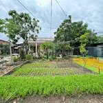 Bán đất biệt thự An Phú Q2 1262m2 giá 34tr/m2 - Ảnh thu nhỏ 3