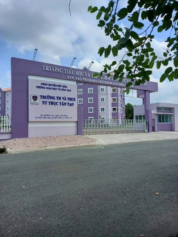 Bán đất nền 125m² tại Long An