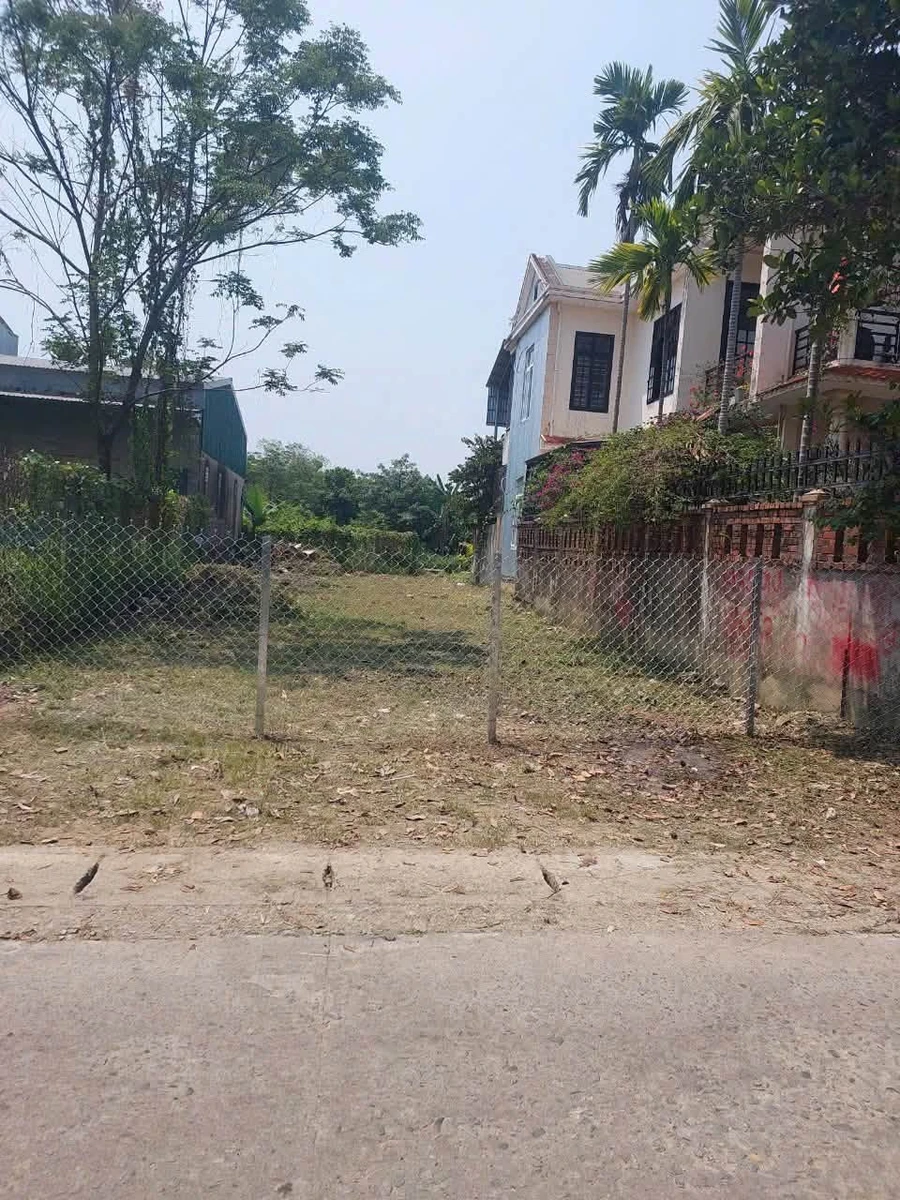 Bán đất mặt tiền Tiền Lại Thế 167m2 - 3 tỷ 900 - Ảnh thu nhỏ 2