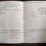 Bán gấp mảnh đất cạnh Vinhomes, bến du thuyền, phân khu 3 cách sân bay 5 phút đi xe - Ảnh thu nhỏ 12