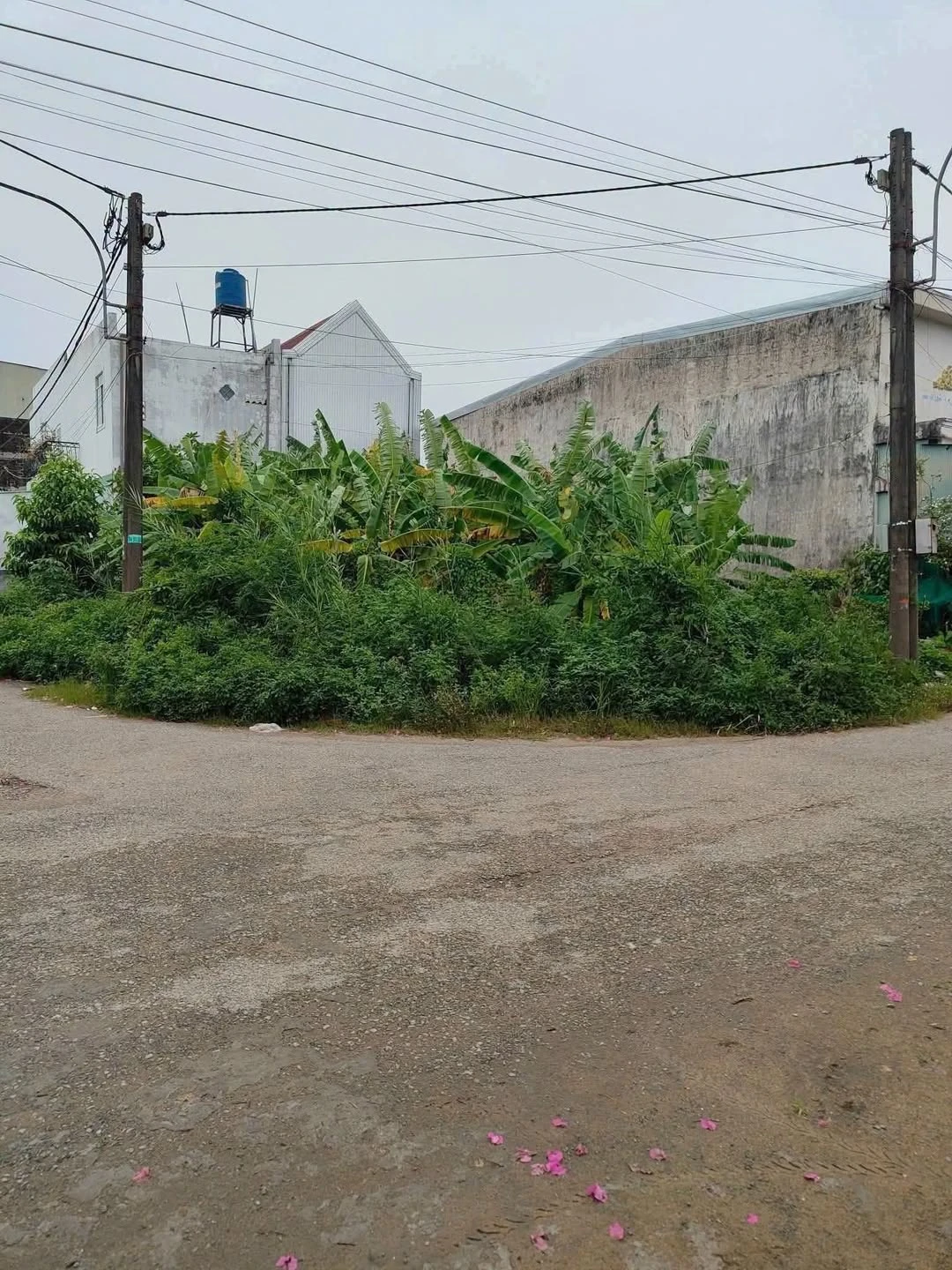 Bán đất thổ cư lô góc 5x17m đường Ngô Sĩ Liên, KDC Tỉnh Ủy, An Hòa, Rạch Giá - Ảnh 1