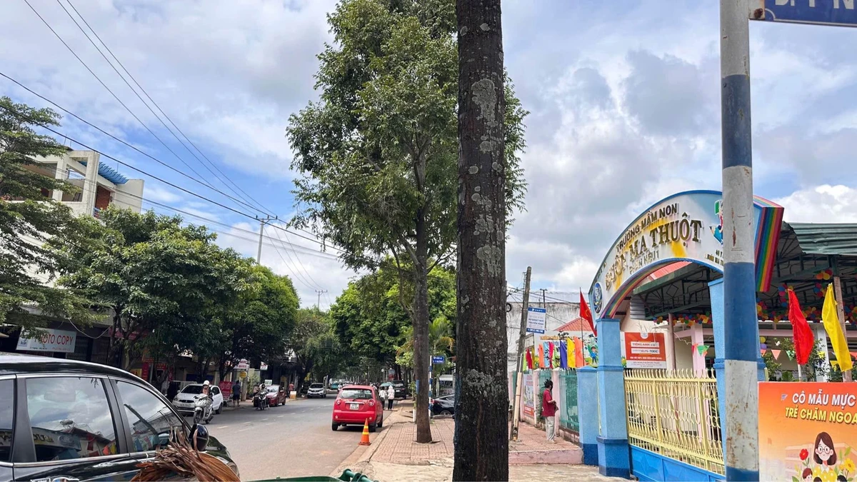 Bán đất hẻm 94,5m² Y Ngông Tân Tiến 2,65 tỷ - Ảnh thu nhỏ 4