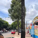 Bán đất hẻm 94,5m² Y Ngông Tân Tiến 2,65 tỷ - Ảnh thu nhỏ 4
