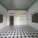 Bán nhà cấp 4 mặt tiền đường nhựa 253m² gần biển tại Phước Lâm, Long Hải - Ảnh thu nhỏ 3
