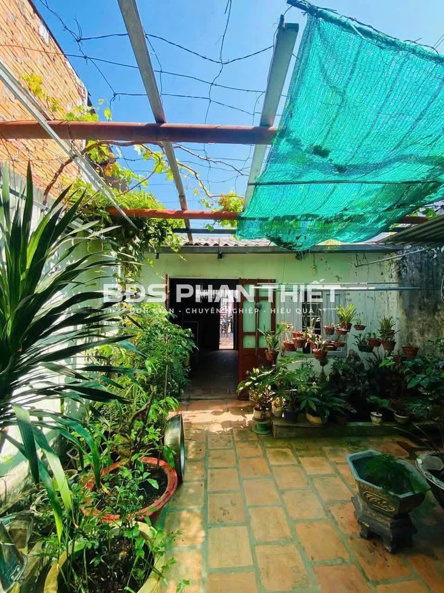 Bán nhà mặt tiền Trần Quý Cáp, 182m², 6,5 tỷ - Ảnh thu nhỏ 5