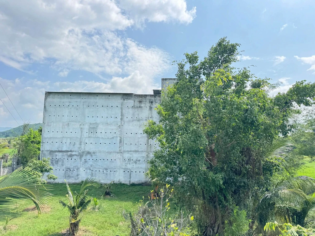 Bán nhà yến và nhà cấp 4 tại Phan Thiết, 2.128m², 1 tỷ - Ảnh thu nhỏ 5