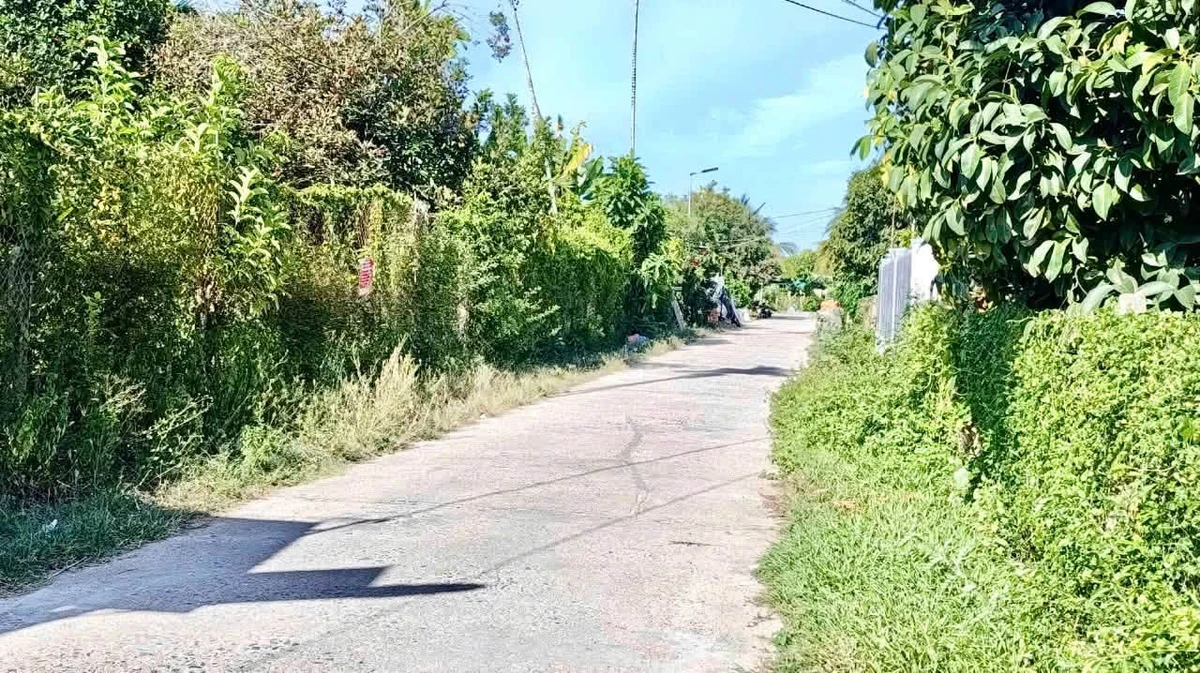 Bán nhà mái Thái 160m2 Diên An Khánh Hòa giá 2 tỷ 300 - Ảnh thu nhỏ 4