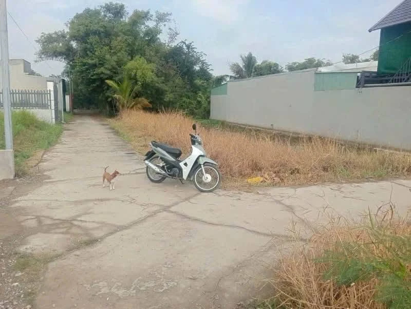 Bán đất nền 186m² Long Khê, Long An 899 triệu - Ảnh thu nhỏ 3
